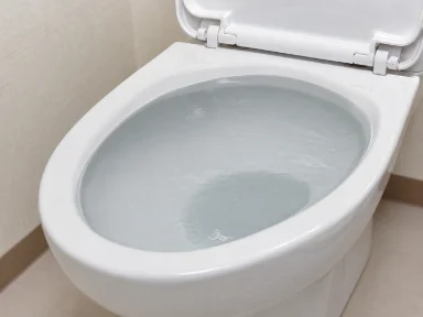 水が溜まったトイレのつまり